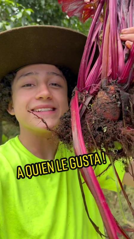 Video de TikTok de @lagranjadelborrego con el sonido Me Porto Bonito