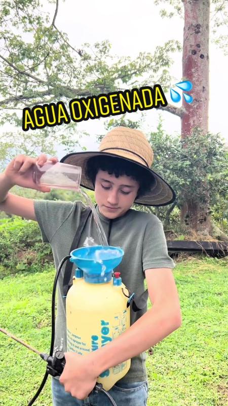 TikTok video by @lagranjadelborrego using the sound Socadona (feat. Mariah Angeliq e Mr. Vegas) [Funk Remix]