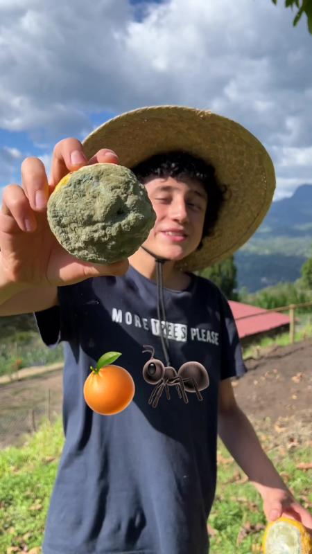 Video de TikTok de @lagranjadelborrego con el sonido Me Porto Bonito