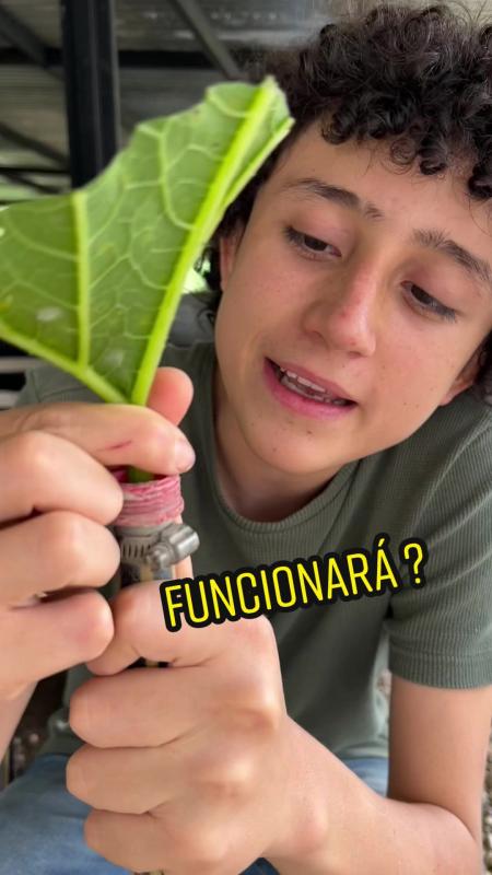 TikTok video by @lagranjadelborrego using the sound Los Aparatos