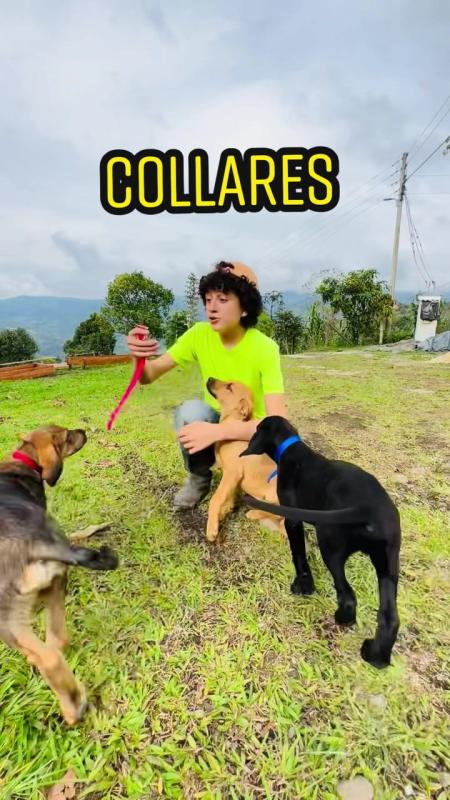 TikTok video by @lagranjadelborrego using the sound Efecto
