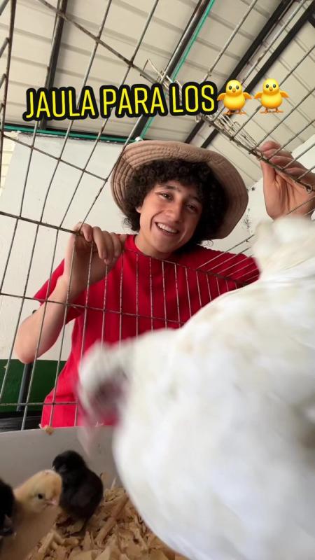 TikTok-Video von @lagranjadelborrego mit dem Sound Muñecas
