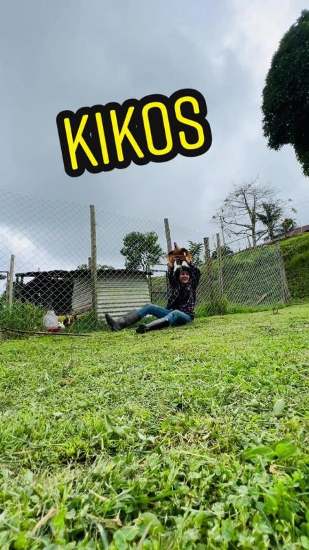 TikTok video by @lagranjadelborrego using the sound Miss You