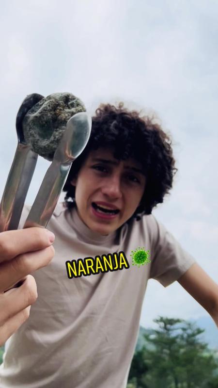 TikTok video by @lagranjadelborrego using the sound Tamagotchi