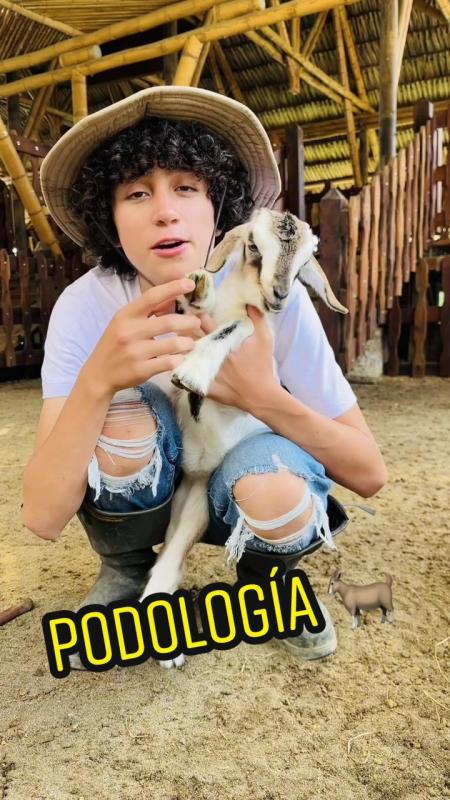 TikTok video by @lagranjadelborrego using the sound El Colesterol