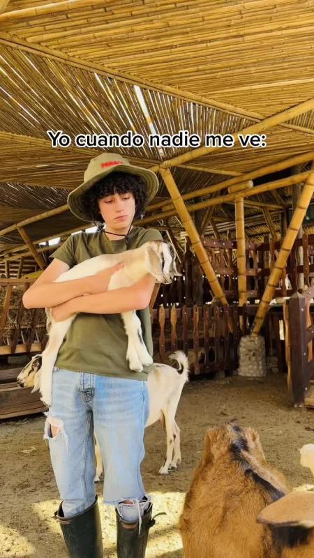 TikTok video by @lagranjadelborrego using the sound El Colesterol