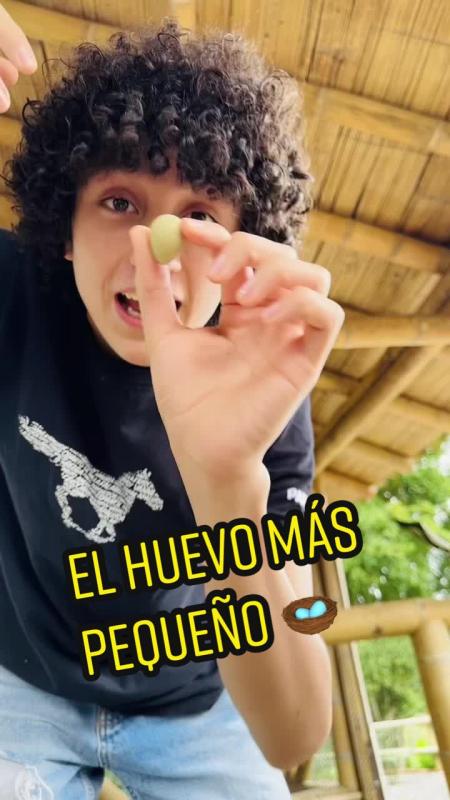 TikTok video by @lagranjadelborrego using the sound La Bebe (Remix)