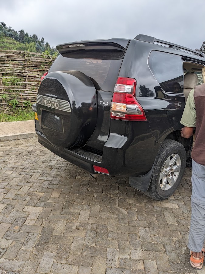 Photo of Gorilla Trek Rwanda