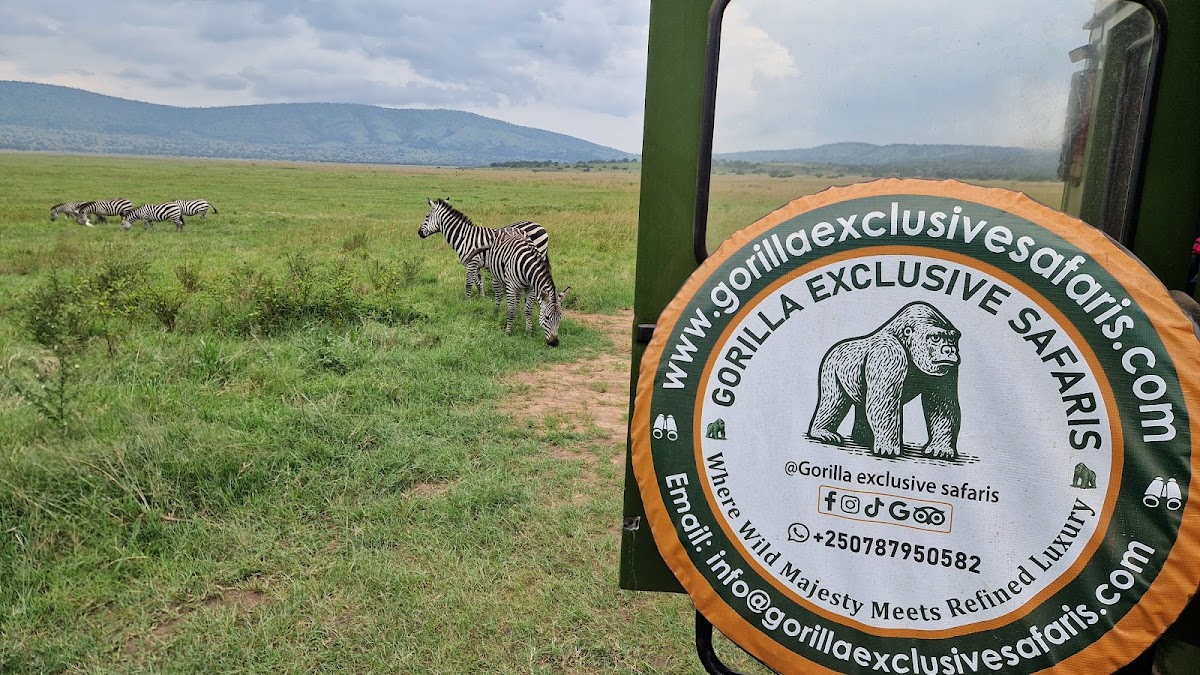 Photo of Gorilla Trek Rwanda