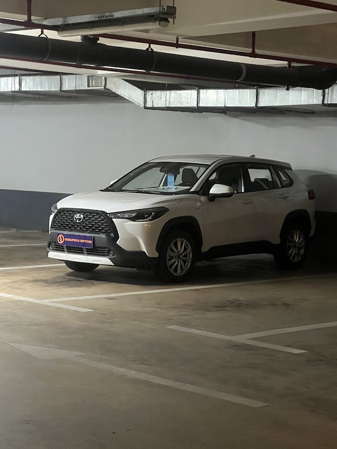 DUBAFRICA MOTORS LTD