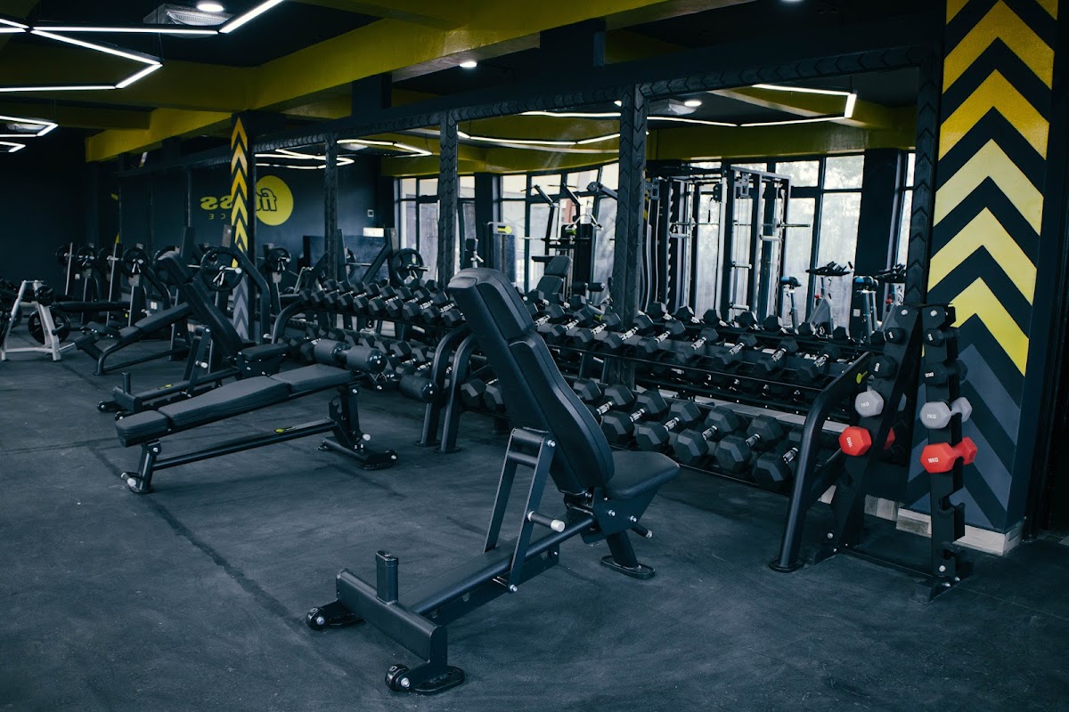 Fitness Palace Gym