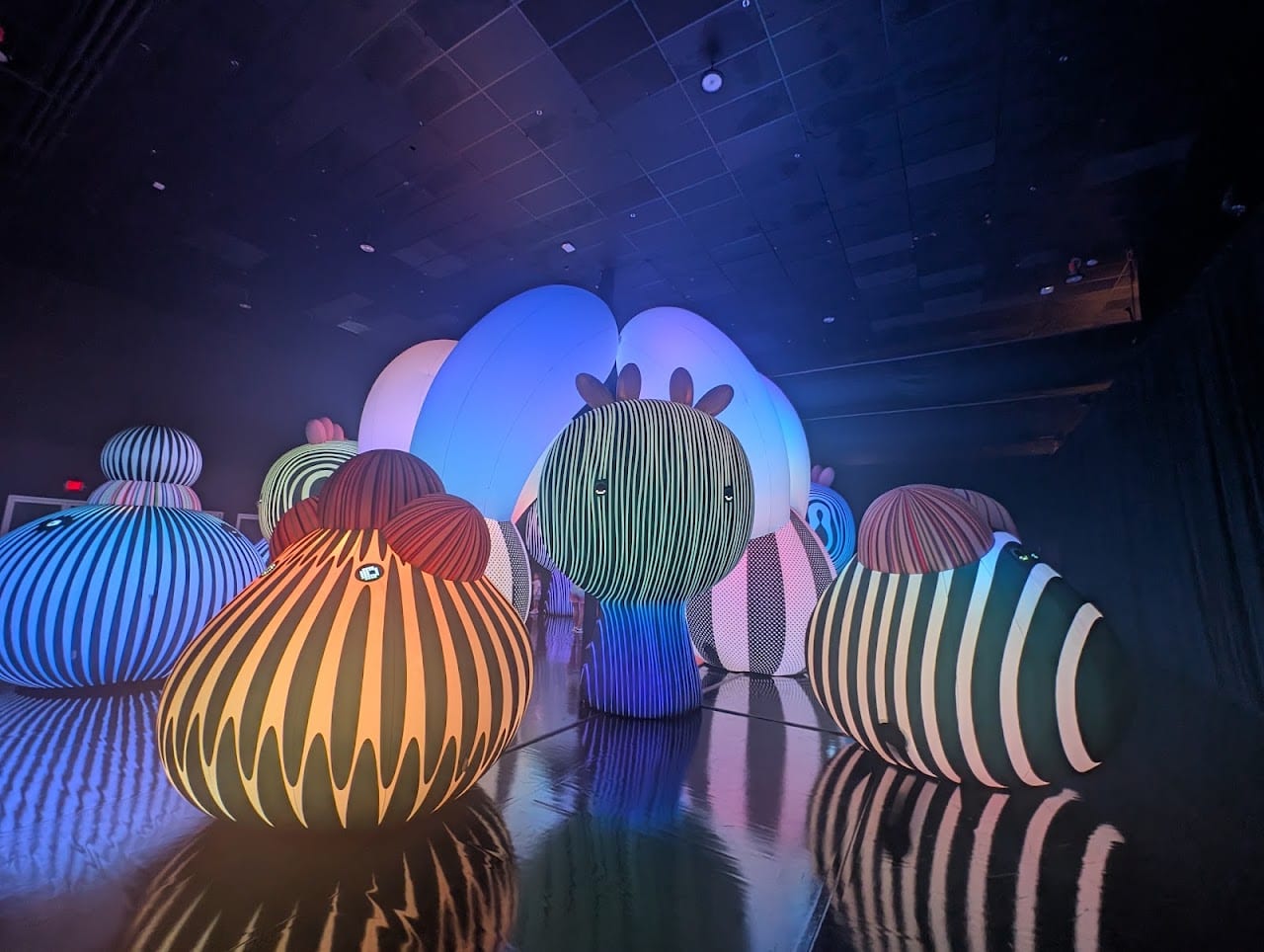 Balloon Museum | Pop Air Miami