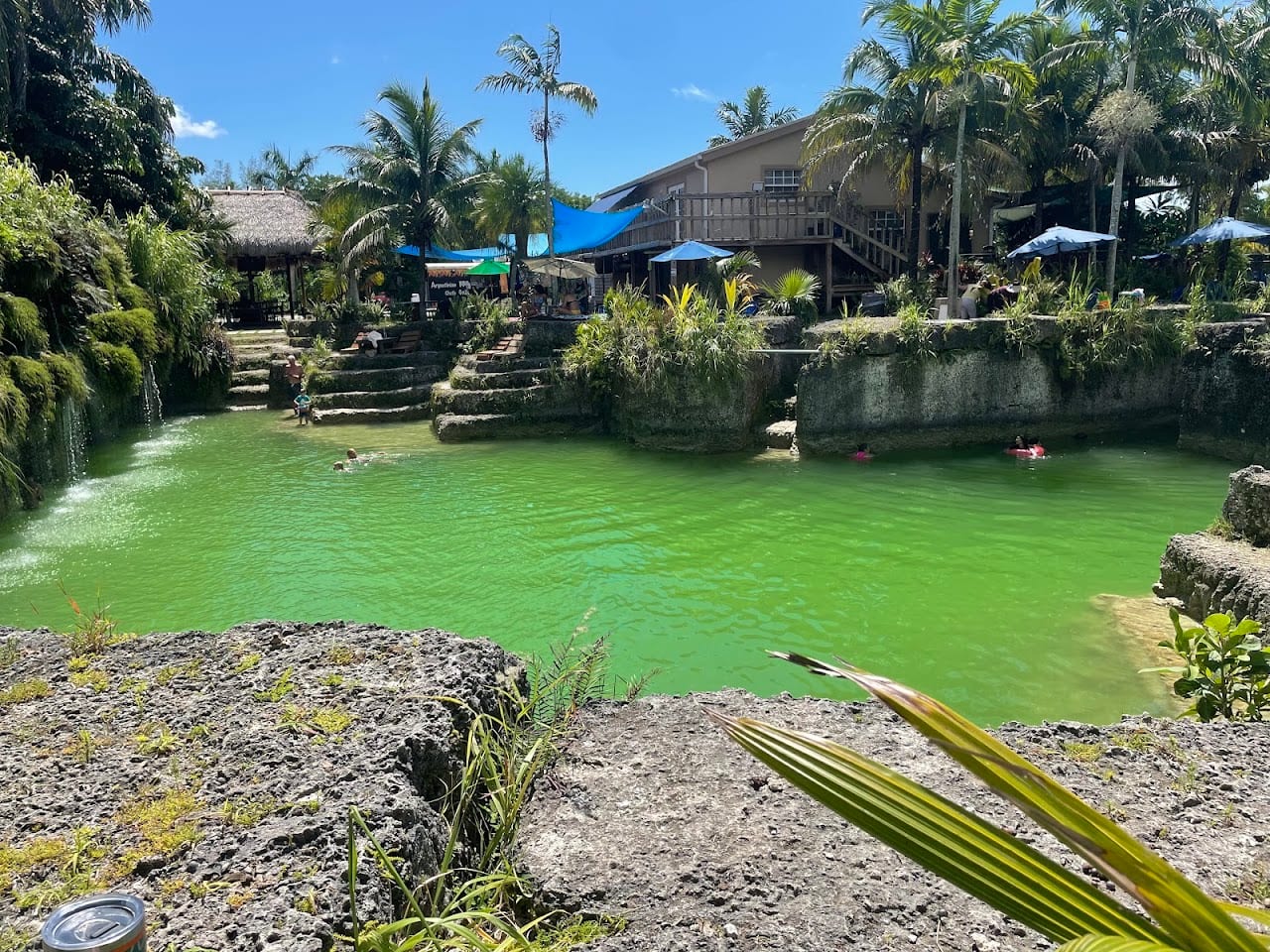 Blue Lagoon Farm Miami