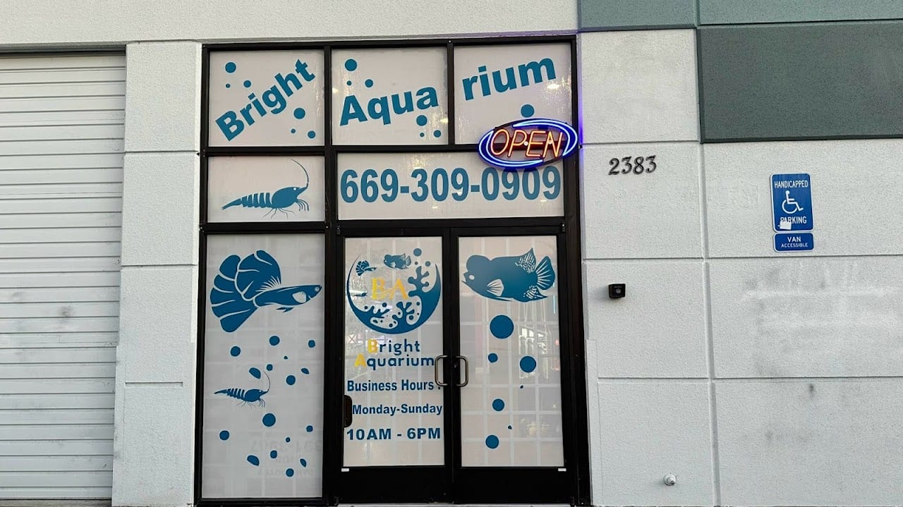 炫彩专业水族体验馆