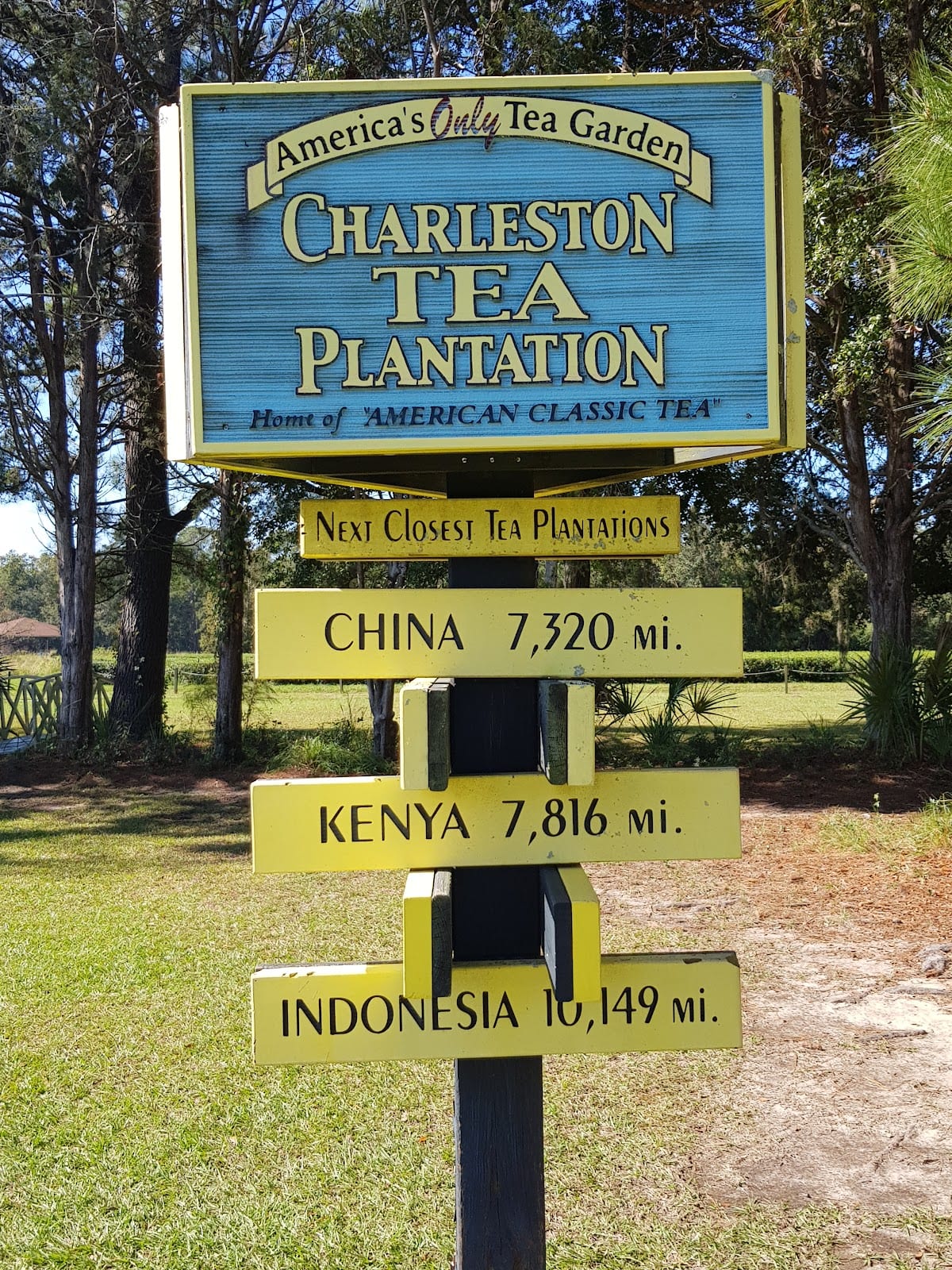 Charleston Tea Garden