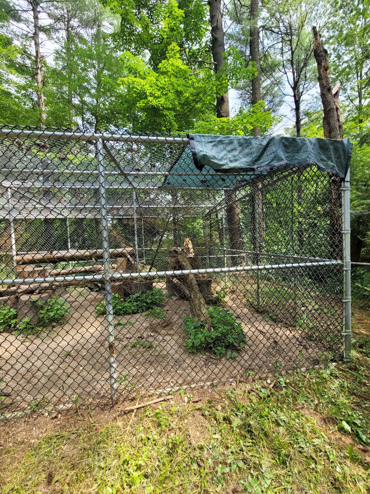 Charmingfare Farm