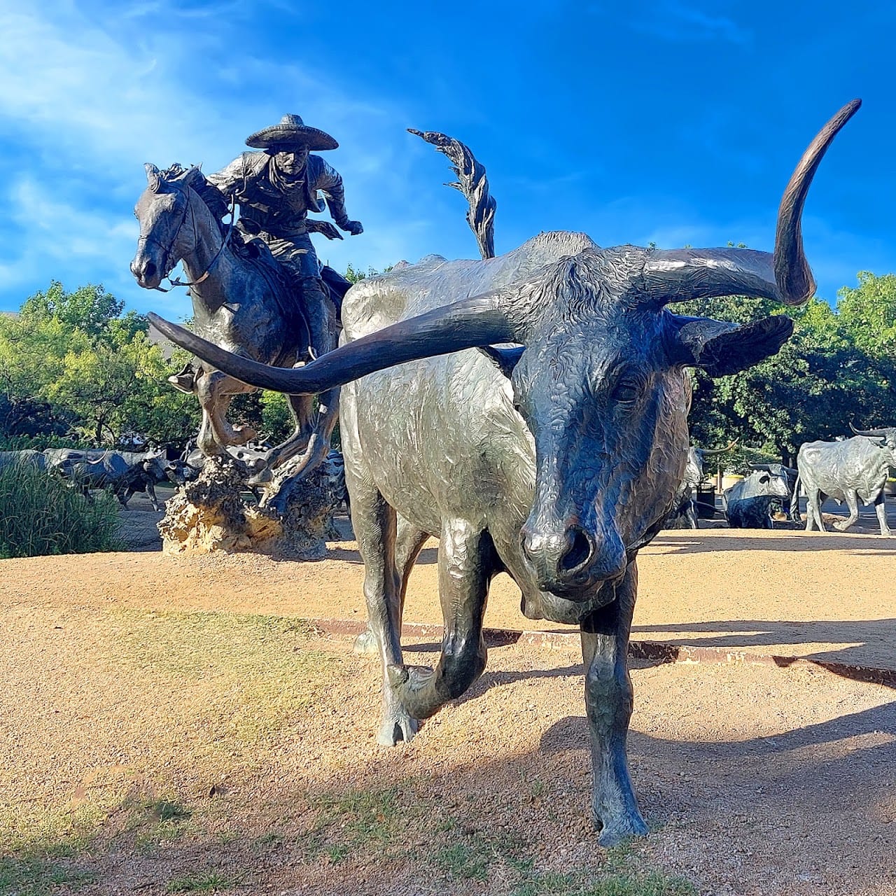 Dallas Cattle Drive Sculptures