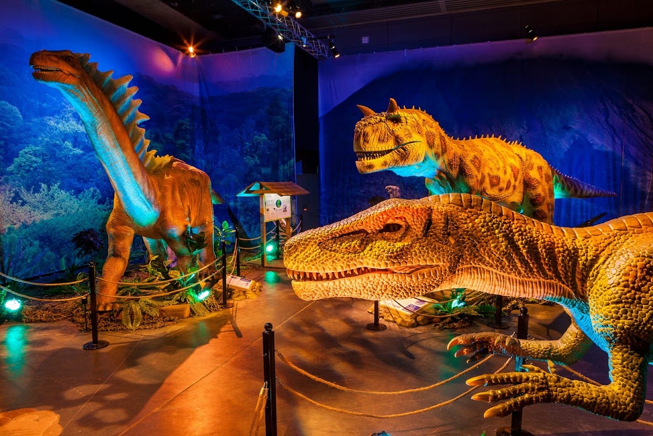 Dino Safari: A Walk-Thru Adventure