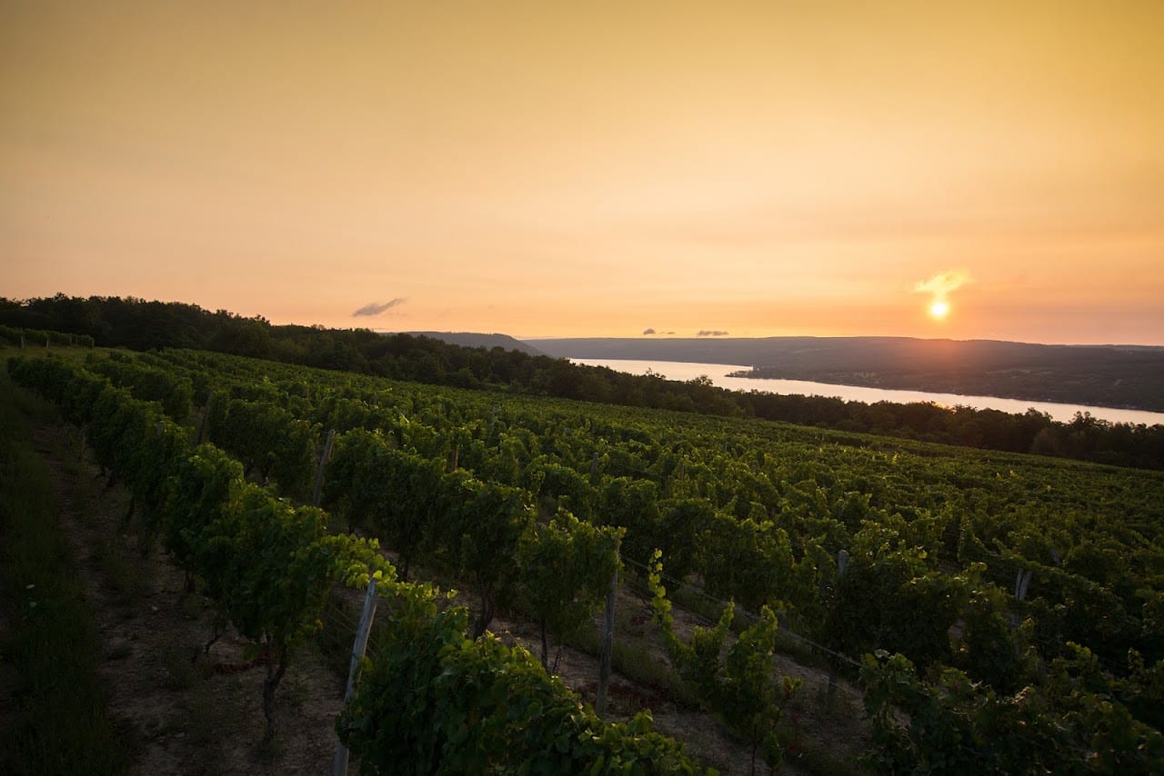 Dr. Konstantin Frank Winery