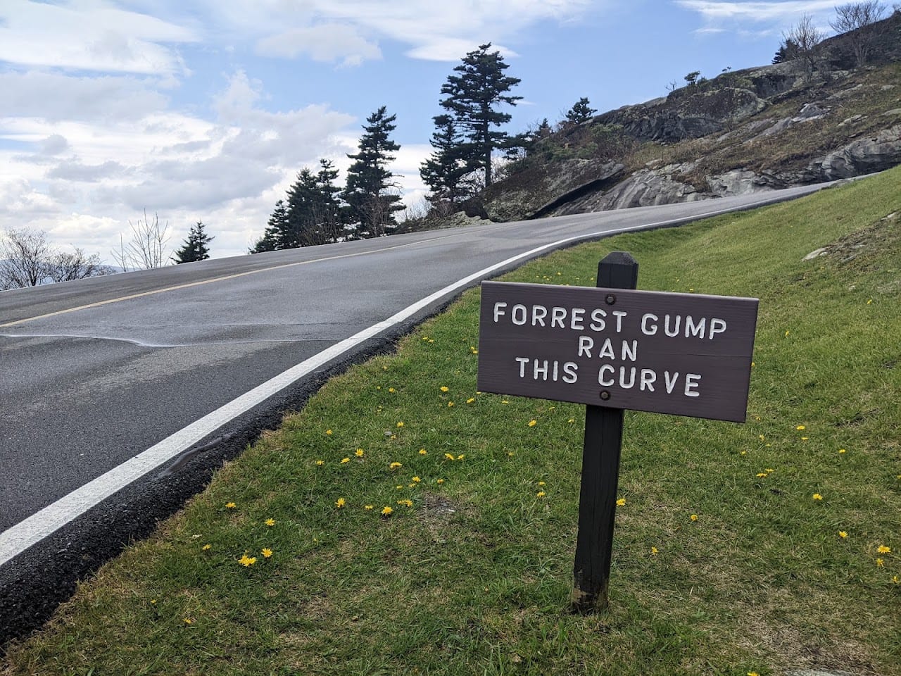 Forrest Gump Curve