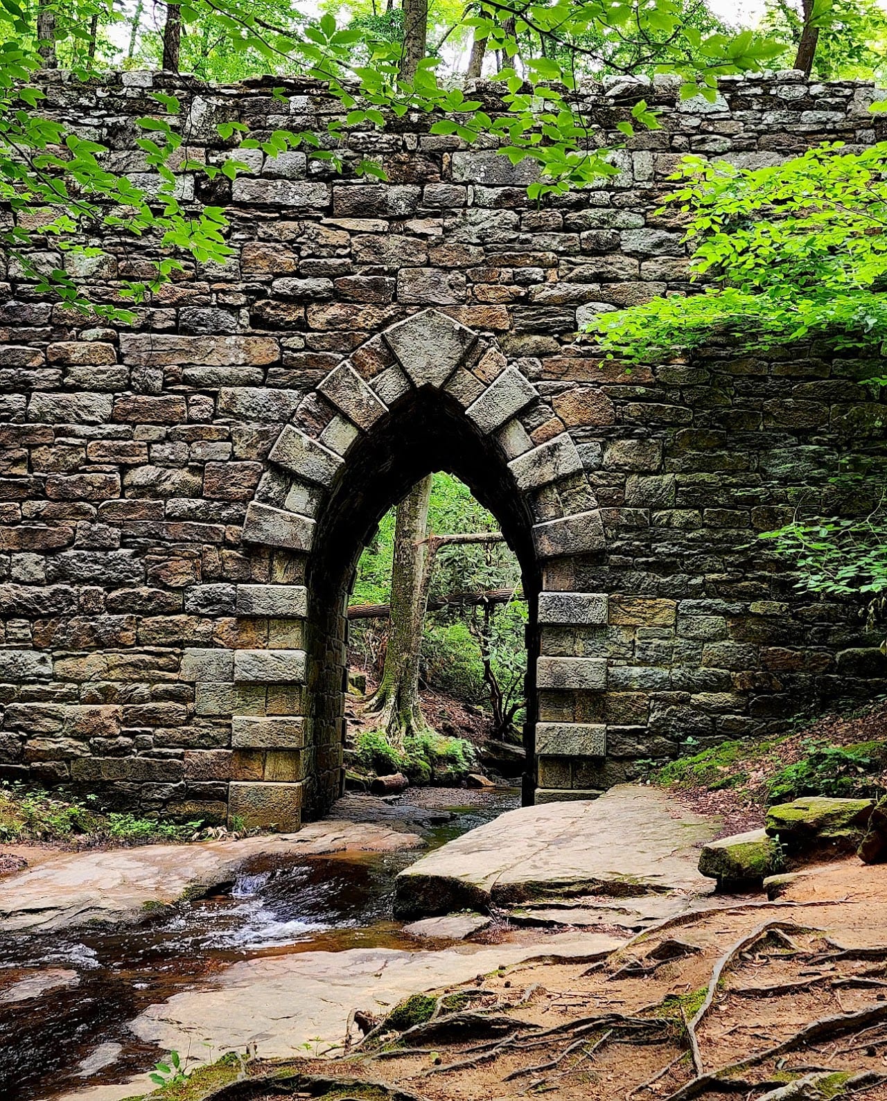 Historic Poinsett Stone Bridge