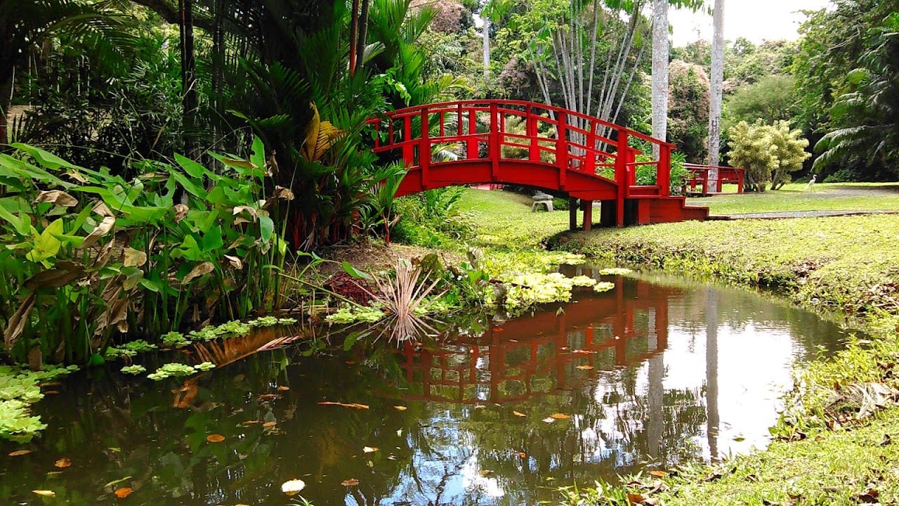 Jardín Botánico de la UPR