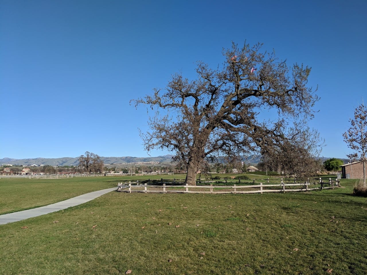 Martial Cottle Park