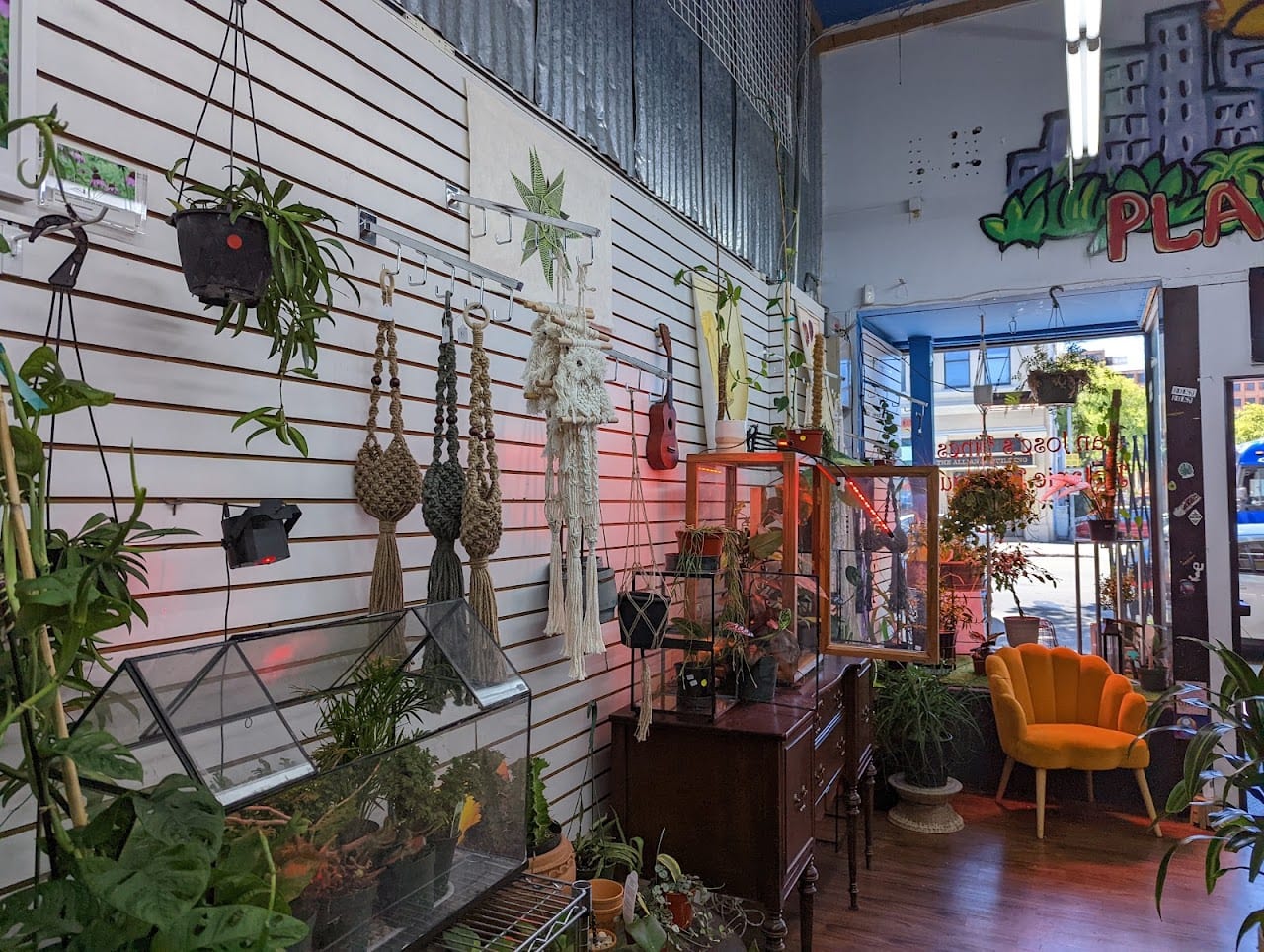 植物狂热潮流绿植馆