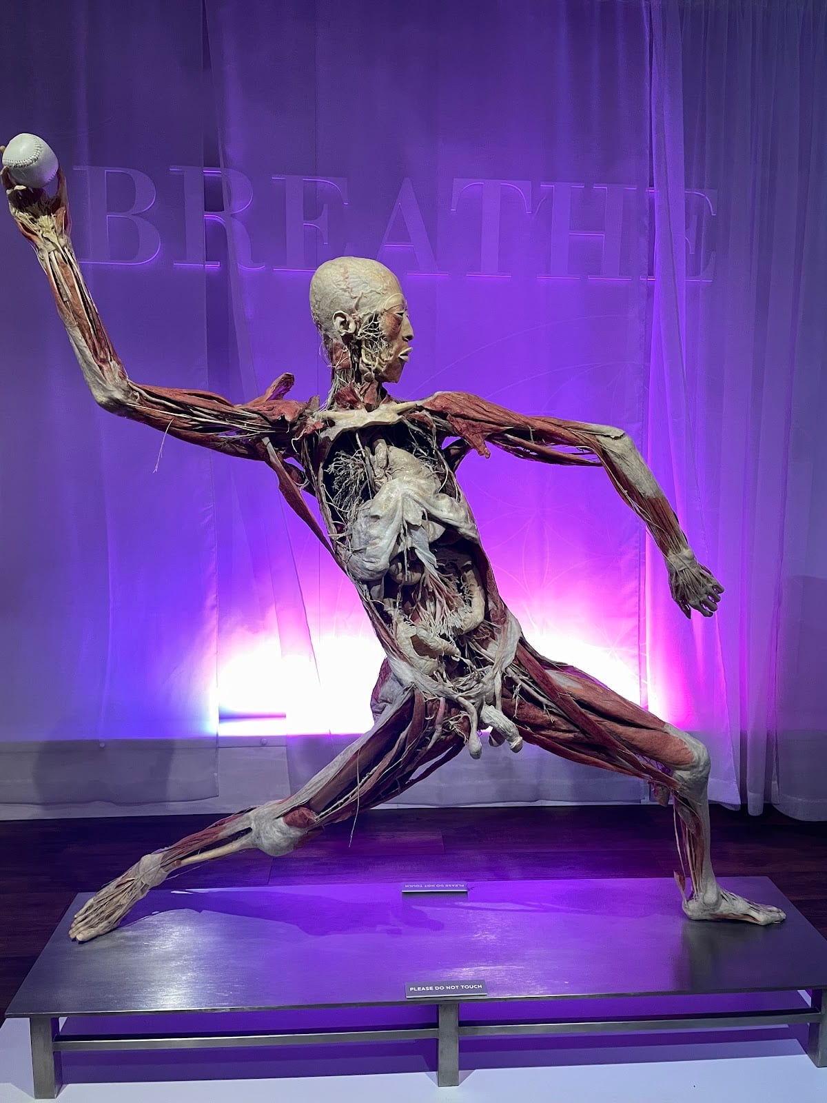 Real Bodies Las Vegas