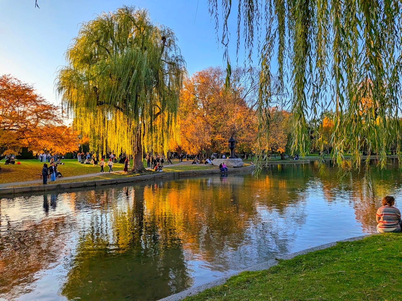 Robin Williams Park Bench From "Good Will Hunting"