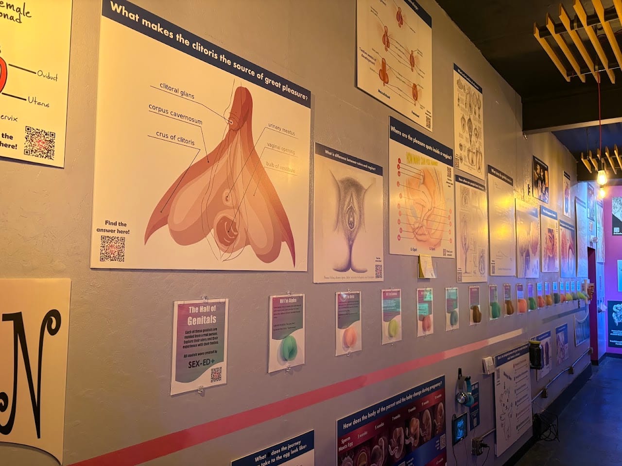 Sexploratorium