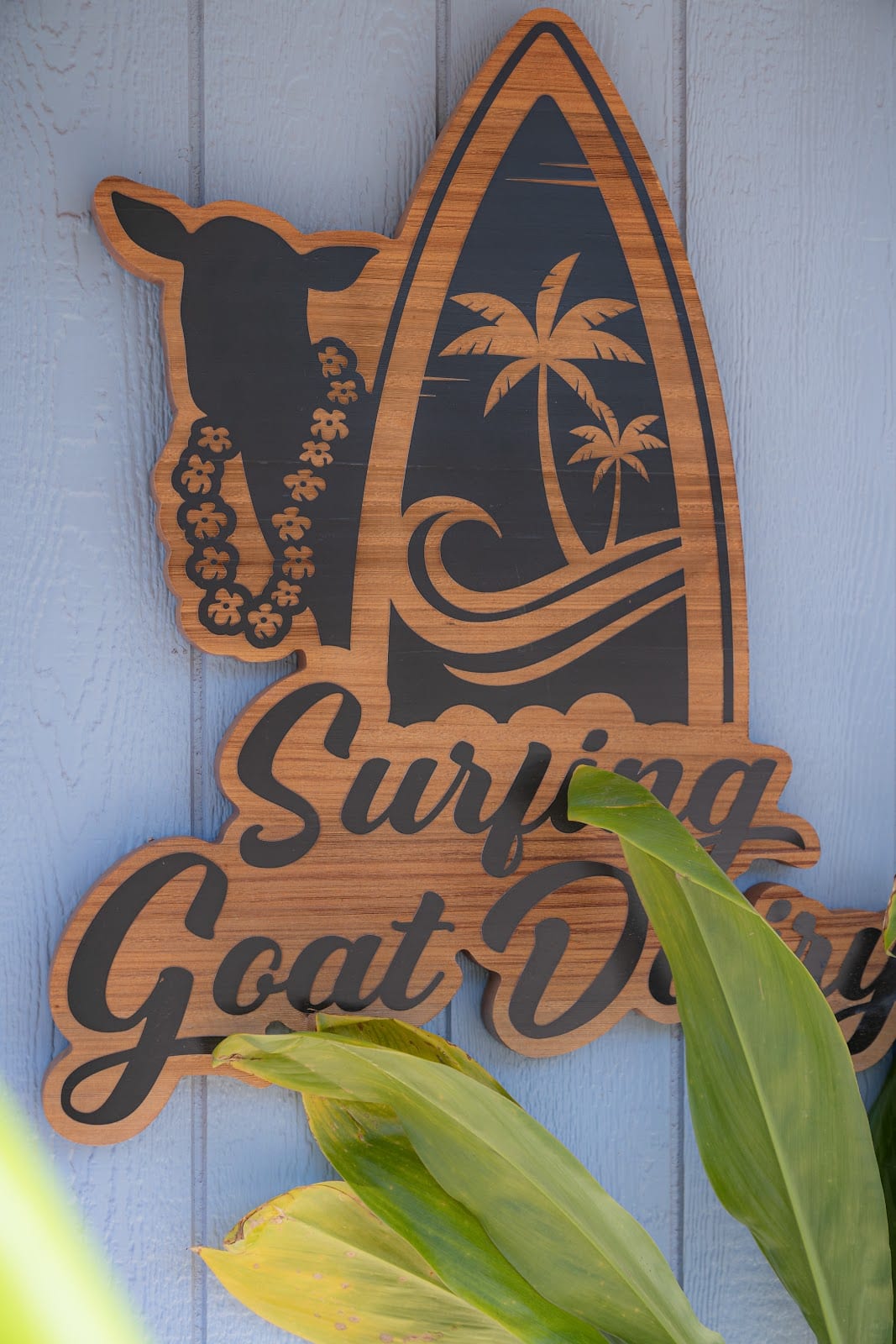 Surfing Goat Dairy Farm Shop & Café