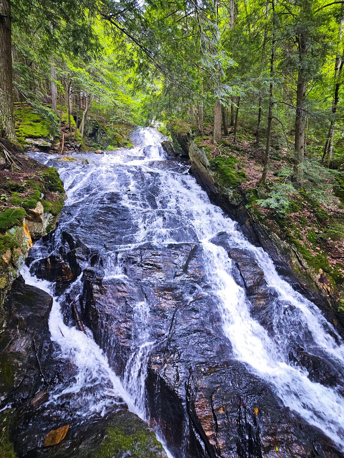 Thundering Brook Falls Trail