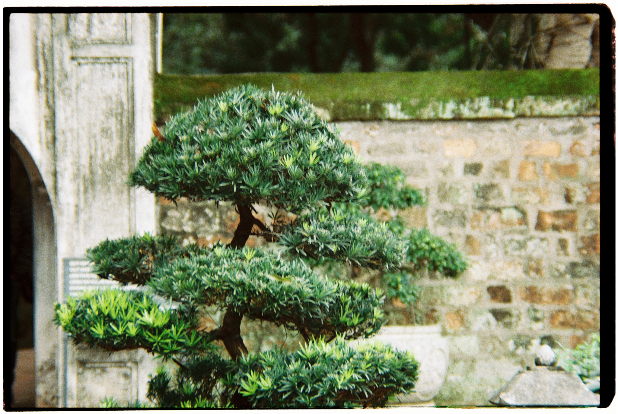 2k/2024Apr5-Fuji400-Vietnam-11.webp